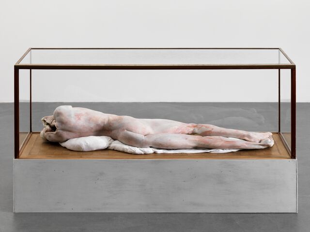 Berlinde De Bruyckere - Hauser & Wirth